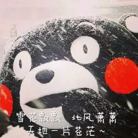 终于下雪了交警提示第一场雪最危险尤其是...
