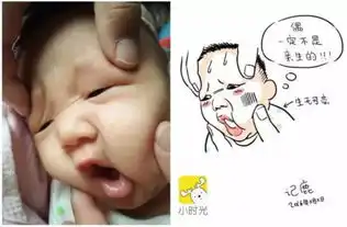 恶搞宝宝照片却收获百万个赞一组创意插画红遍网络
