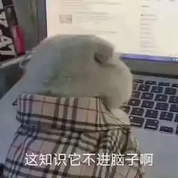 走神的时候,你的大脑都在做些什么
