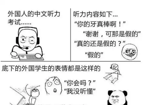 外国人用梗图吐槽学中文,感觉不太聪明的样子,又心疼又好笑
