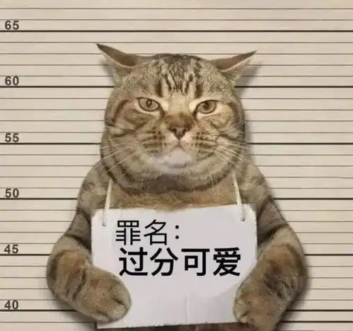男女之间幽默聊天套路高情商逗笑她一整天
