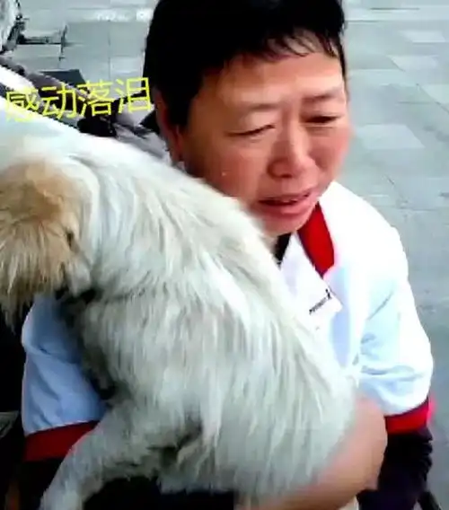 流浪狗突然冲向一位大姐,以为是疯狗搞袭击,下一幕却令人动容
