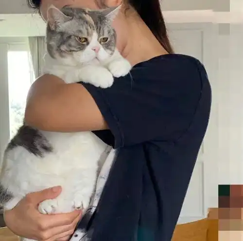 郑秀文为15岁爱犬庆生温馨对视亲手做蛋糕感谢陪伴
