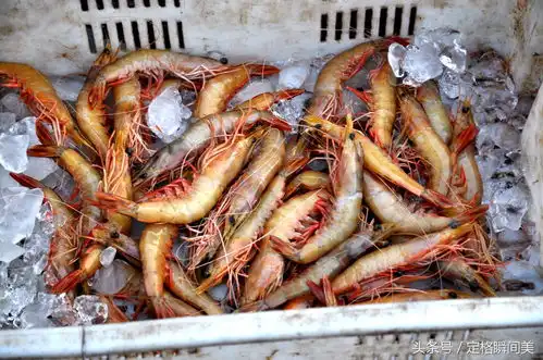 大风降温天气后码头海鲜白菜价大妈储存过冬食材忙不停
