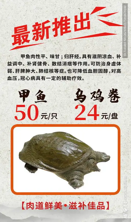甲鱼海报设计图
