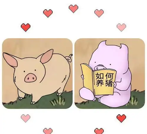 搞笑段子文案惹人捧腹大笑治愈你们的不开心
