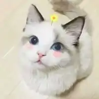最好玩的微信头像微信头像图片大全

