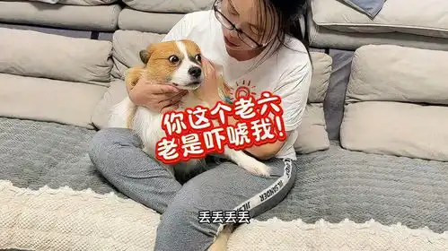 主人破产后要把狗狗送到狗肉馆,没想到竟然把狗狗吓哭了好搞笑
