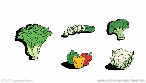 卡通蔬菜图片
