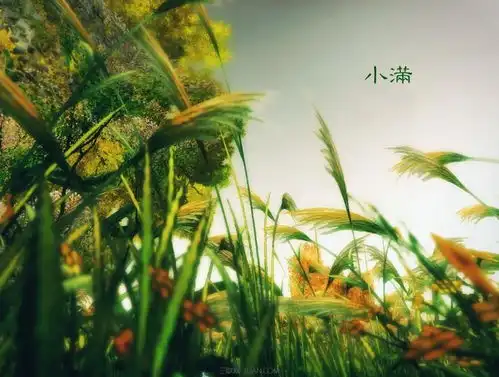 2021年5月21日小满节气祝福语图片小满早安问候祝福图片带字精选
