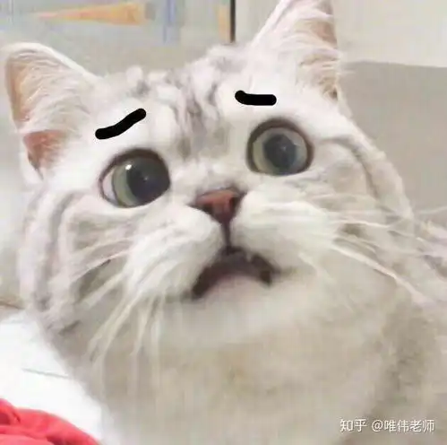 一直不明白,学画画为什么要从画素描开始画
