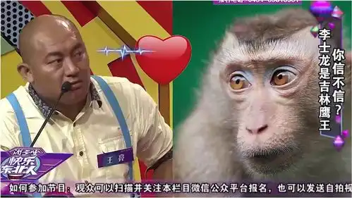 要被这哥们逗死,想养一只猴,主持人因为和你互补吗
