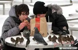 值得收藏的搞笑图
