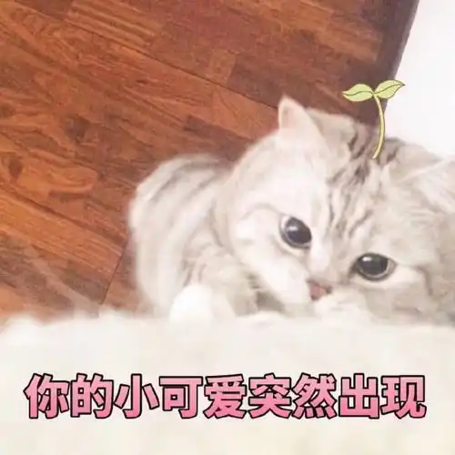 幽默笑话现在都说,不想开学的孩子都是好孩子
