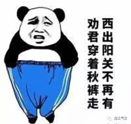 直降10度最低气温6大风大雨同时袭来,哈尔滨小伙伴赶紧找秋裤
