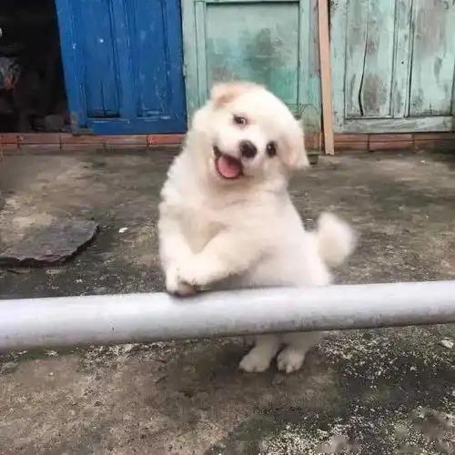 今日份搞怪头像快收好...
