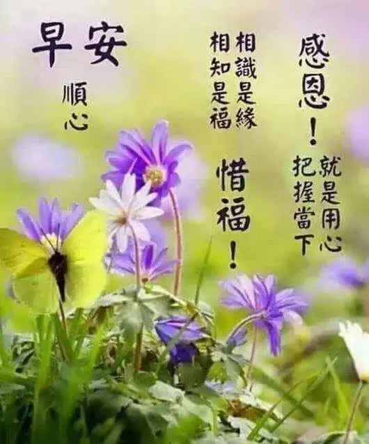 早安心语励志经典语录早上好祝福问候语句子
