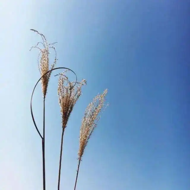 大彻大悟的金句
