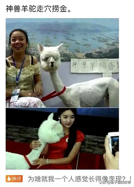 开心一刻,这些搞笑图片专治你的不开心
