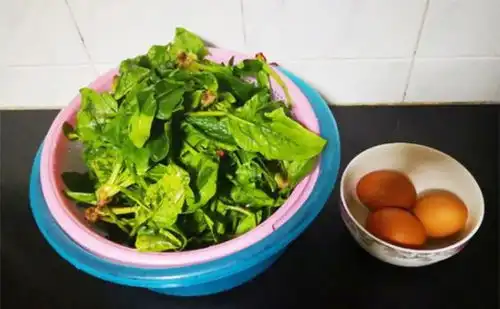 春天孩子吃的补脑菜,补铁补脑,提高记忆力,学习第一名
