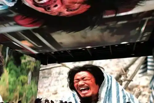 爱情公寓十年之约一出好戏有点意思
