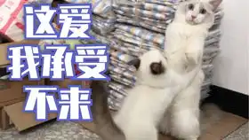 可爱留香o卖萌招亲
