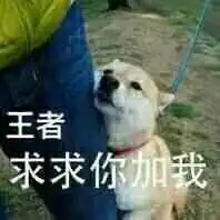 求求你加我
