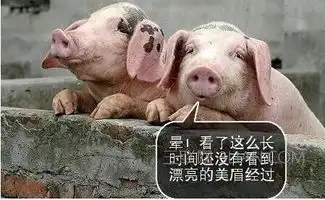 还没有漂亮的美眉经过
