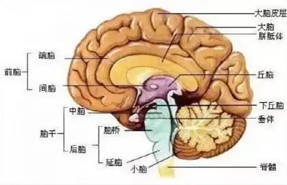 还有比周二更漫长的日子吗
