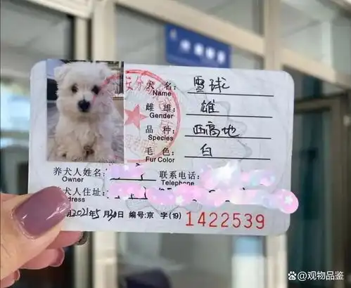 一户一狗已经养多只了怎么办,该如何处理更好
