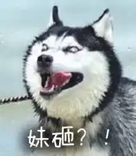 朋友圈再见吧,我要去微博蹦迪了
