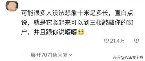 景区告诫游客有10米长巨蟒谢绝游览,评论区炸锅,网友太搞笑了
