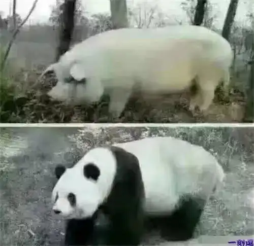 开心一刻丨白素贞智救孙悟空
