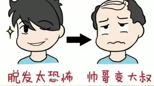 经常感到头皮瘙痒,失眠多梦,脂溢性脱发的舌象讲解
