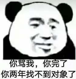 熊猫头生气表情包你骂我你完了,你两年找不到对象了
