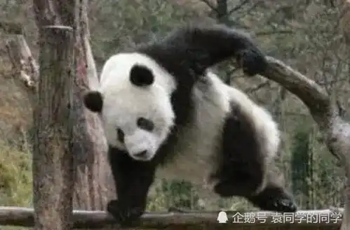 搞笑图片一组非常有趣的图片看一看,原来世界上还有这样的事情发生腾讯新闻
