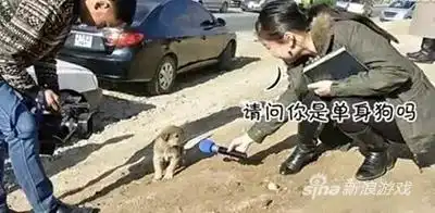 囧吐槽母胎solo至今
