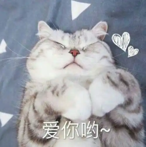 不养猫咪不知道,一养猫咪吓一跳,猫咪的坏习惯,真让铲屎官头大
