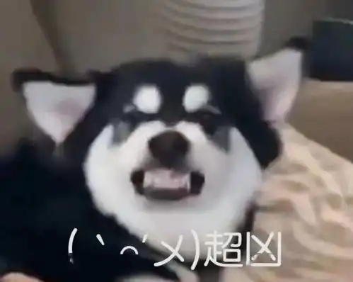 热门沙雕表情包能给我发20块钱红包买个月饼吗
