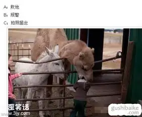 骆驼吃你儿子的头时,你会是哪种
