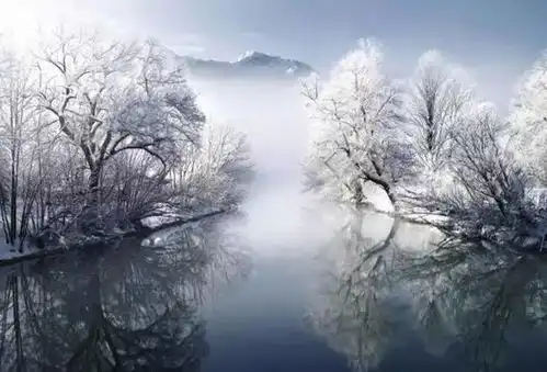 这个色盲摄影师拍的照片,比你拍的还惊艳

