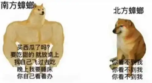 趣图爬山遇到他,需要注意什么
