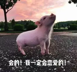 你经历过的最撩的事情是什么
