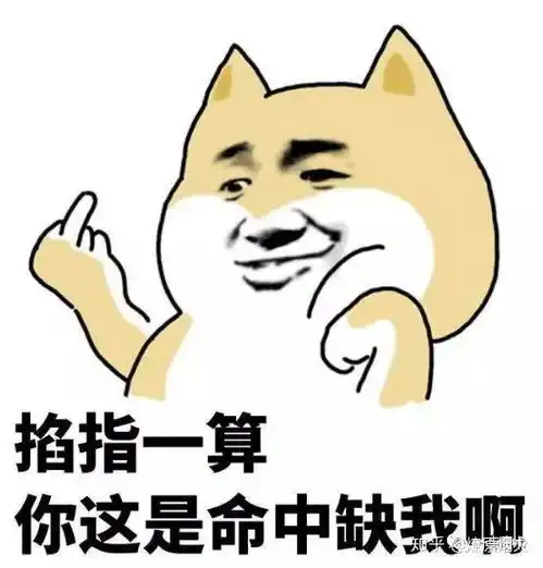 让人欲罢不能的土味魔术情话
