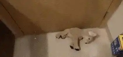 搞笑图片爸妈在家都是怎么怼你的说好的爱我呢
