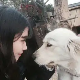 求完整的图片谢谢
