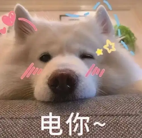30条可爱到打滚的文案自从见到你妹,你这兄弟我交定了
