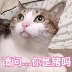 猫咪表情包丨进来吸猫

