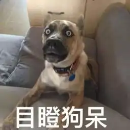 色气满满的搞笑神作,看完狂流三天口水
