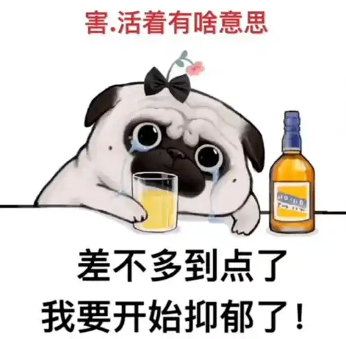 近期热门表情包i别人提钱回家过年我也提前回家过年
